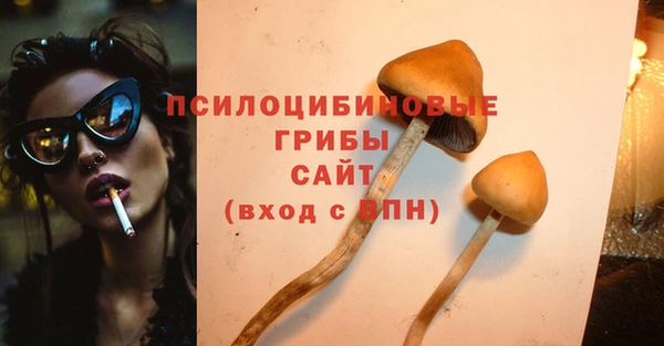 тгк Семёнов