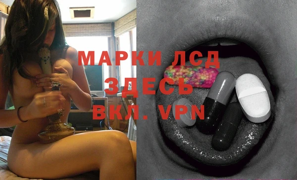 ГАЛЛЮЦИНОГЕННЫЕ ГРИБЫ Лихославль