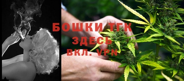 бошки Ладушкин