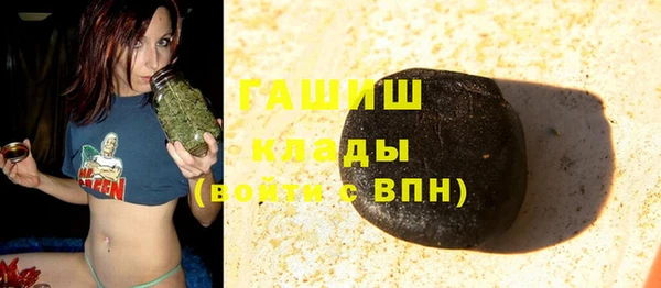 амф Снежногорск