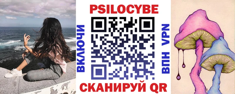 Псилоцибиновые грибы Cubensis  Нефтегорск 